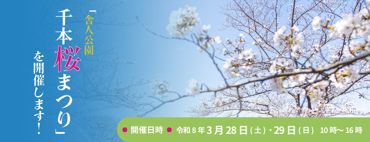 「舎人公園千本桜まつり」を開催します！